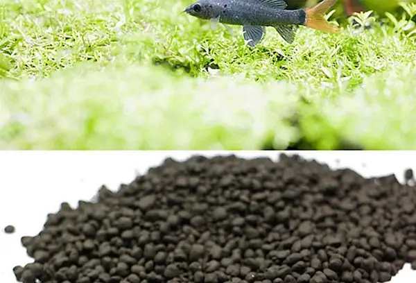 Phân Nền Bể Thủy Sinh