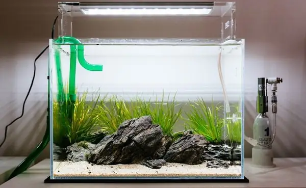 Máy Sục Khí Co2 Cho Bể Thủy Sinh