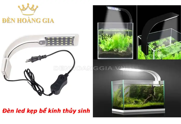 Lắp Đèn Hồ Cá