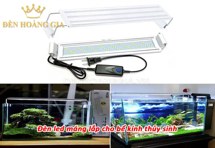 Lắp Đèn Hồ Cá