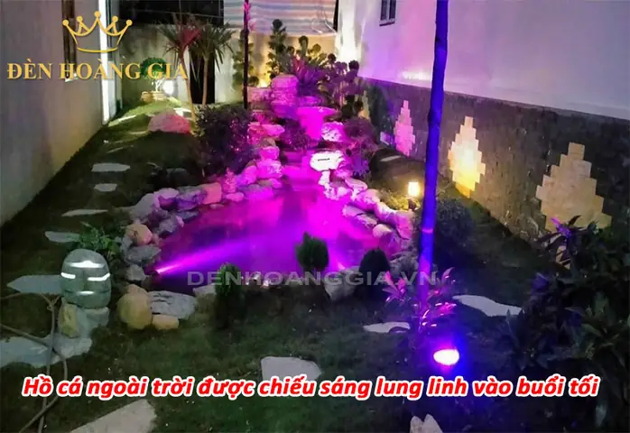 Cách Thiết Lập Thời Gian Chiếu Sáng Cho Hồ Cá Hiệu Quả