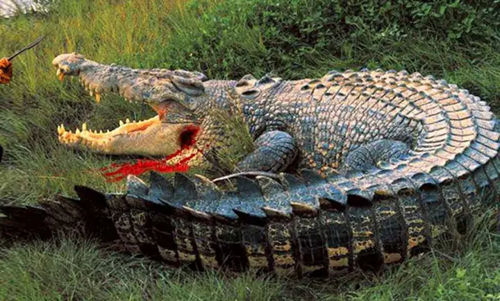 Số 4: Bujang Senang (5,88 Mét / 19 Feet 3 Inch)