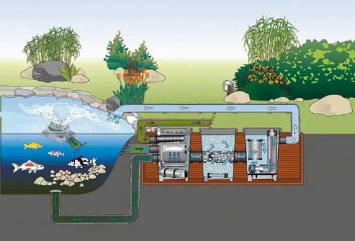Lọc Hồ Cá Koi Mini: Hướng Dẫn Chi Tiết Từ A-z Cho Người Mới Bắt Đầu