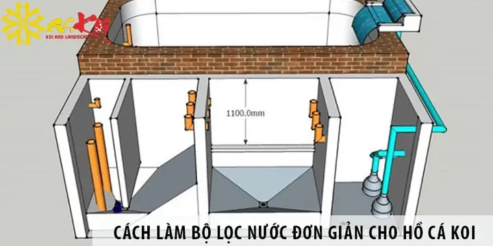Lọc Hồ Cá Koi Mini: Hướng Dẫn Chi Tiết Từ A-z Cho Người Mới Bắt Đầu