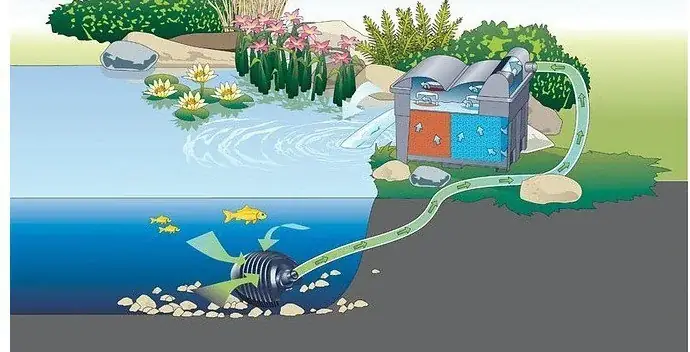 Hệ Thống Lọc Thùng Hồ Cá Koi