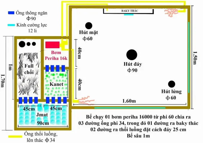 Các Mẫu Hệ Thống Lọc Hồ Koi Bạn Nên Tham Khảo