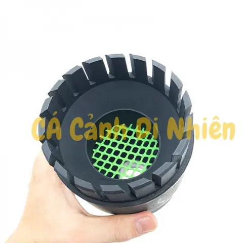 Lọc Mặt Nước Hồ Cá: Bí Quyết Giữ Hồ Luôn Trong Xanh Và Cá Khỏe Mạnh