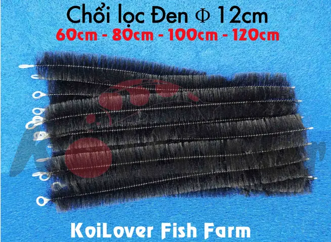 Chổi Lọc Hồ Cá Koi