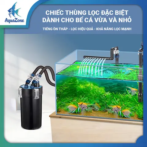 Lọc Thùng Bể Cá: Cẩm Nang Toàn Tập Cho Người Mới Bắt Đầu