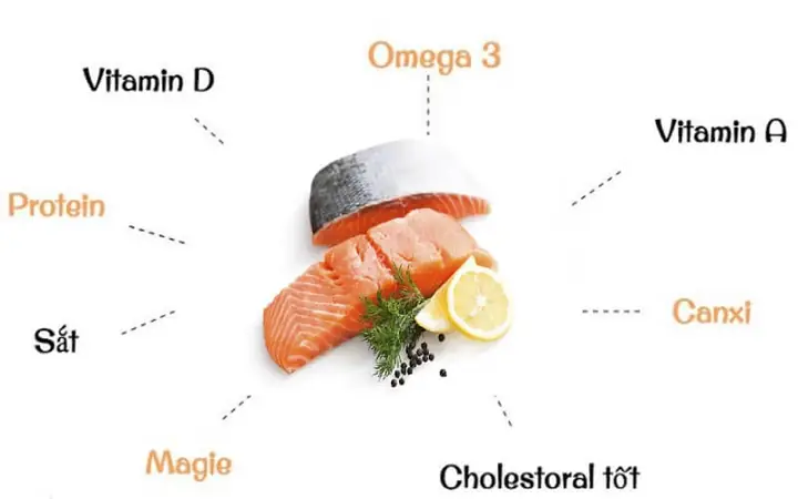 Lợi Ích Của Cá: 10 Công Dụng Tuyệt Vời Cho Sức Khỏe Người Việt