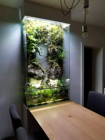 Vị Trí Đặt Hồ Cá Cho Người Mạng Thủy