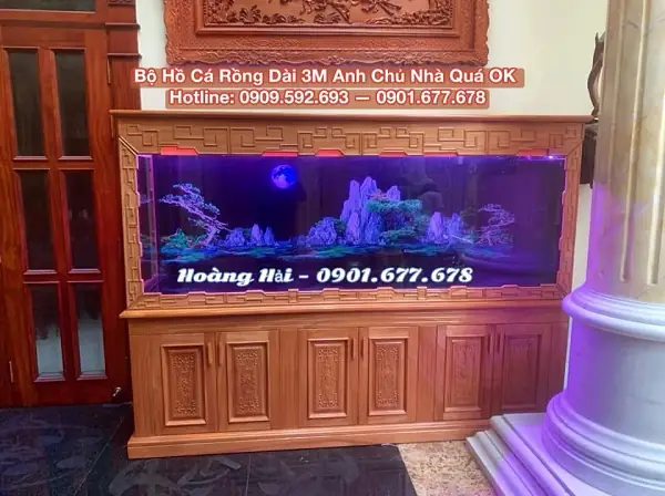 Cá Rồng Là Một Loài Cá Cực Kỳ Ý Nghĩa Trong Phong Thủy
