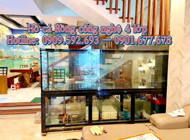 Cá Rồng Là Một Loài Cá Cực Kỳ Ý Nghĩa Trong Phong Thủy