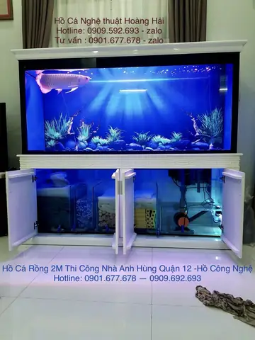 Ho-ca-rong45