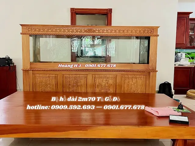 Cá Rồng Là Một Loài Cá Cực Kỳ Ý Nghĩa Trong Phong Thủy