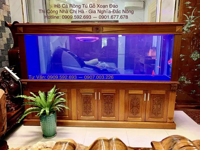 Cá Rồng Là Một Loài Cá Cực Kỳ Ý Nghĩa Trong Phong Thủy