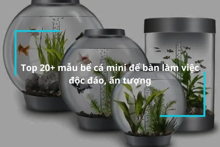 Top 20 Mau Be Ca Mini De Ban Lam Viec