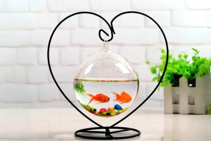Bể Cá Cảnh Mini Treo Để Bàn