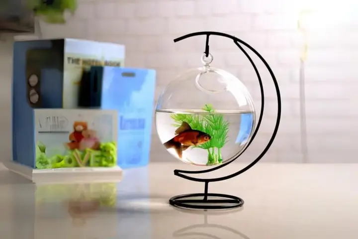 Bể Cá Cảnh Mini Treo Để Bàn