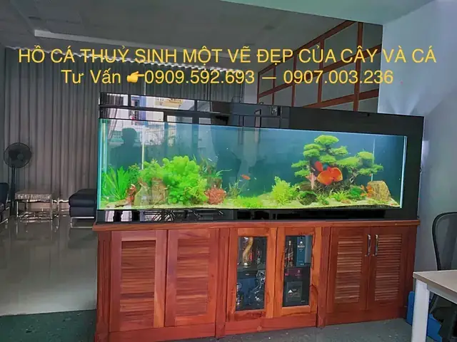 Yếu Tố Phong Thủy Và Ý Nghĩa Tâm Linh