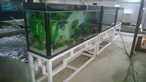 Tại Sao Nên Chọn Chân Hồ Cá Bằng Gỗ?