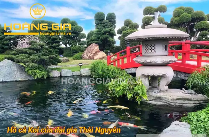 Mẫu Hồ Cá Koi Ngoài Trời Đẹp Của Người Nổi Tiếng