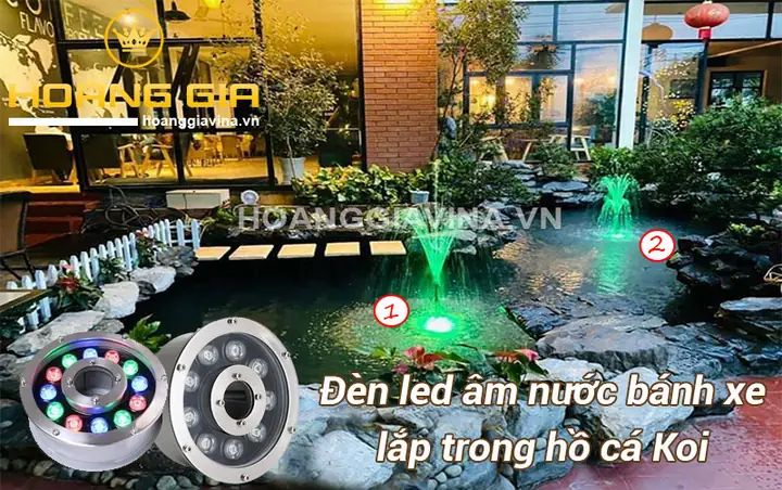 Cách Trang Trí Hồ Cá Koi Ngoài Trời Đẹp Lung Linh Với Đèn Led