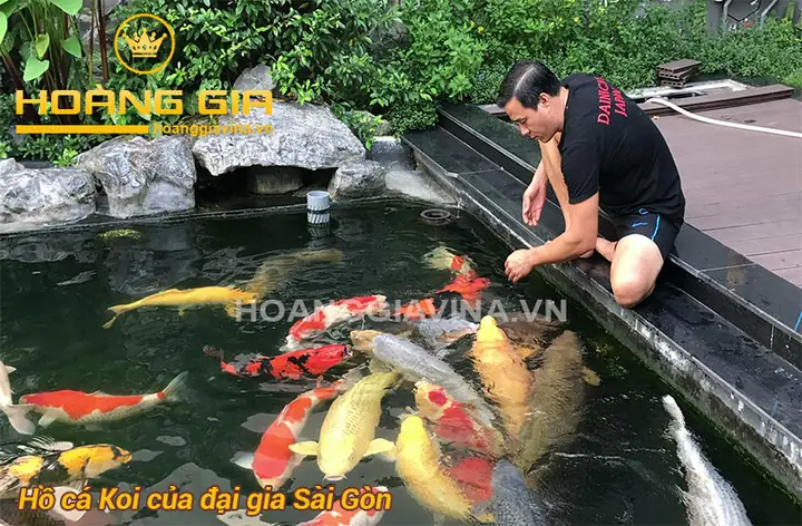 Mẫu Hồ Cá Koi Ngoài Trời Đẹp Của Người Nổi Tiếng