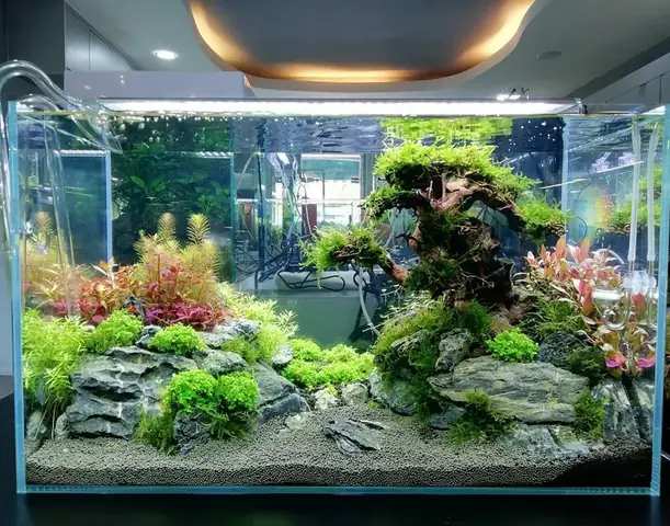 Hồ Cá Treo Tường
