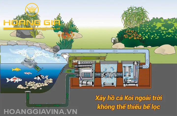 Những Lưu Ý Quan Trọng Khi Xây Hồ Cá Koi Ngoài Trời Những Lưu Ý Quan Trọng Khi Xây Hồ Cá Koi Ngoài Trời