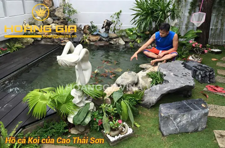 Mẫu Hồ Cá Koi Ngoài Trời Đẹp Của Người Nổi Tiếng Mẫu Hồ Cá Koi Ngoài Trời Đẹp Của Người Nổi Tiếng