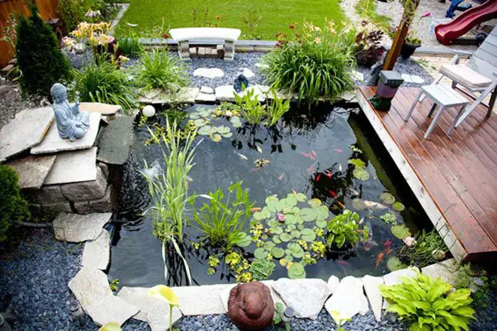 Hồ Cá Koi Mini Sân Vườn