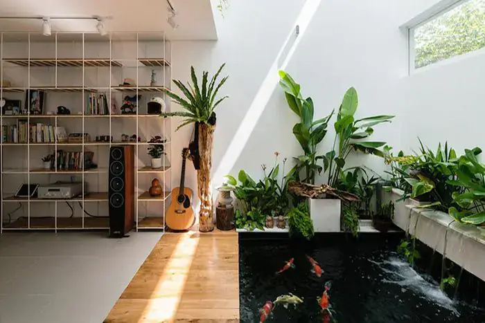 Mẫu Hồ Cá Koi Mini Đẹp Trong Nhà