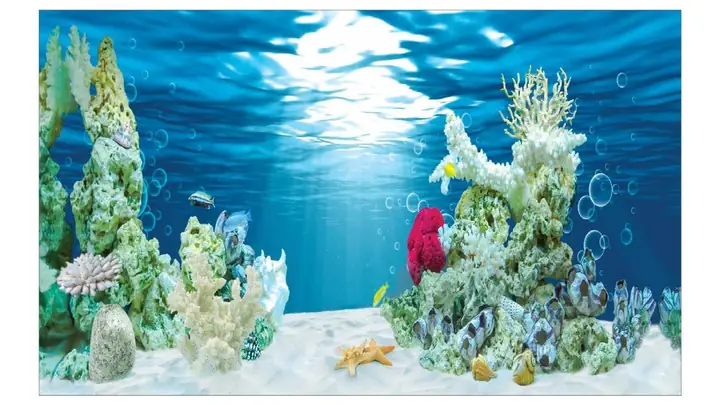 Mẫu Tranh 3d Bể Cá Rồng