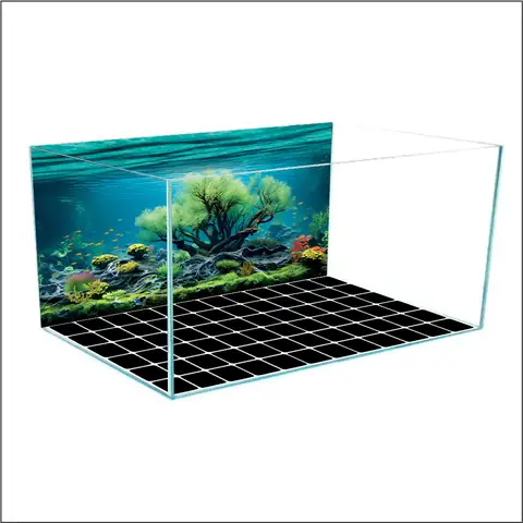 Mẫu Tranh 3d Bể Cá Rồng