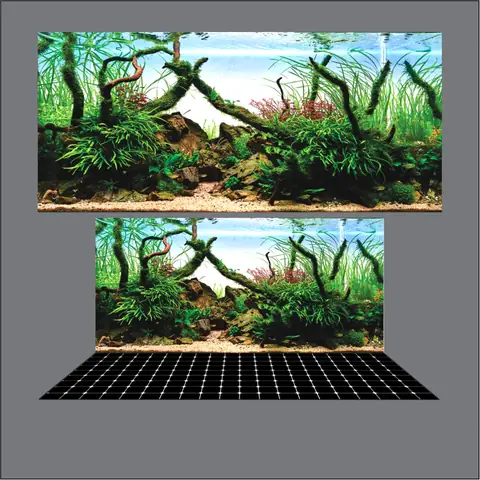 Mẫu Tranh 3d Bể Cá Rồng