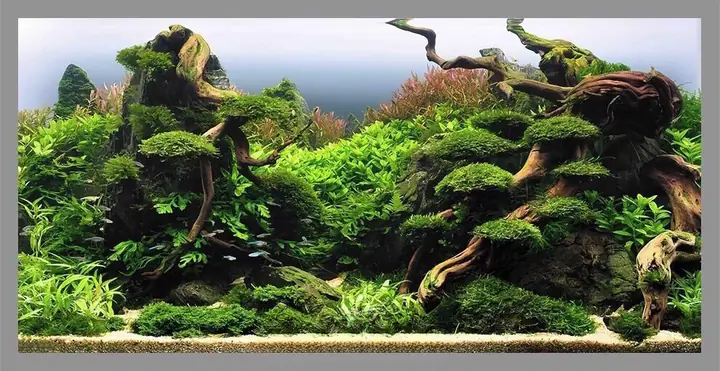 Mẫu Tranh 3d Bể Cá Rồng