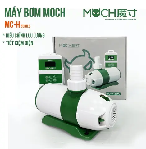 Máy Bơm Hồ Cá 2000l/h: Tiêu Chí Chọn Mua Và Top 5 Sản Phẩm Đáng Tiền Nhất