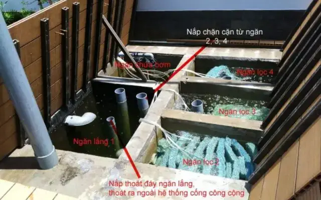 Các Tiêu Chí Quan Trọng Khi Lựa Chọn Máy Bơm Hồ Cá Koi Mini
