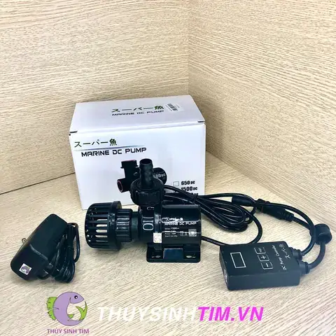 Máy Bơm Hồ Cá Trên Cạn Là Gì Và Hoạt Động Như Thế Nào?