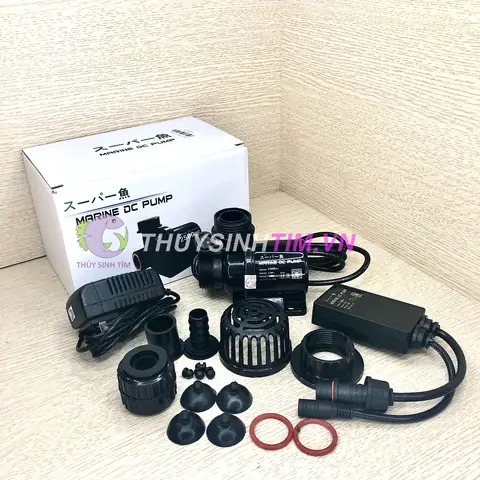 Máy Bơm Chống Giật Cao Cấp Marine Dc Pump 4000l/h :
