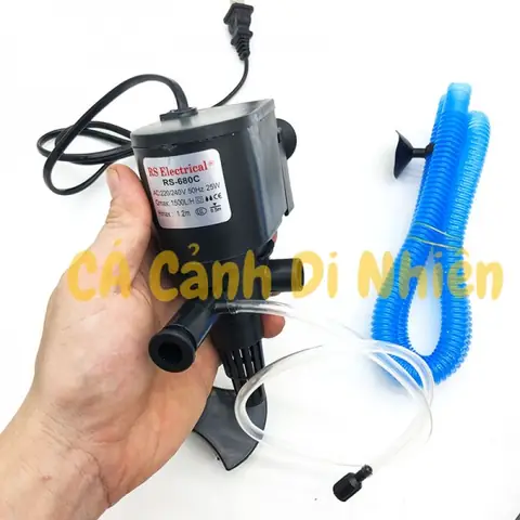 Máy Bơm Lọc Nước Cho Bể Cá: Cẩm Nang Toàn Tập Từ Chọn Mua Đến Bảo Dưỡng