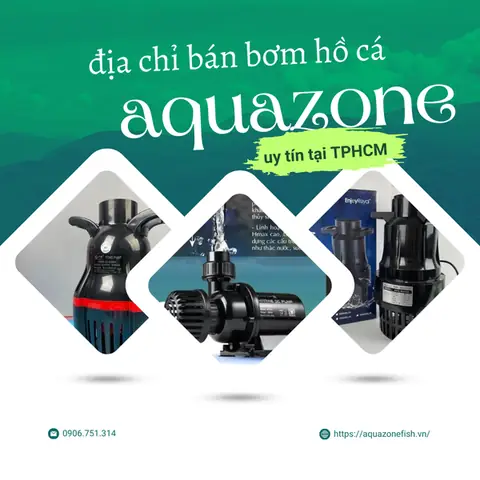 Địa Chỉ Bán Máy Bơm Nước Hồ Cá Ở Tphcm