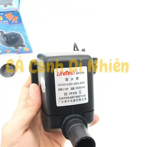 Phân Tích Các Tiêu Chí Đánh Giá
