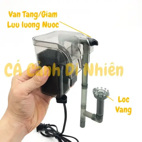 Máy Lọc Cá Cảnh: Cẩm Nang Toàn Tập Về Loại Máy Không Thể Thiếu Cho Bể Cá