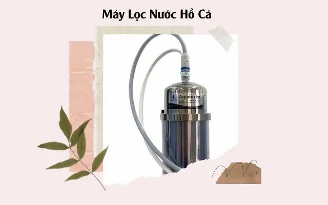 Vì Sao Bạn Nên Sử Dụng Máy Lọc Nước Hồ Cá