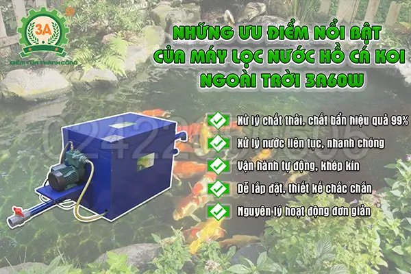 Những Ưu Điểm Nổi Bật Của Máy Lọc Nước Hồ Cá Koi Ngoài Trời 3a60w