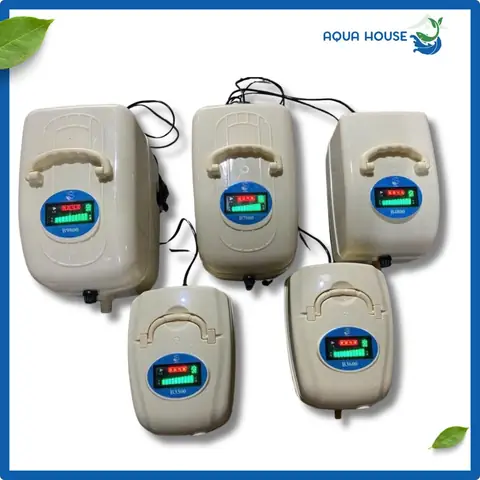Máy Sục Bể Cá