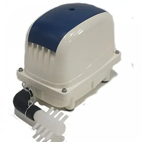Máy Sục Bể Cá: Hướng Dẫn Chọn & Sử Dụng Hiệu Quả Cho Người Mới Bắt Đầu