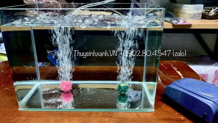 Máy Sủi Oxy Hồ Cá Giá Rẻ